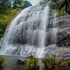 jungle mount adventure camp hostel