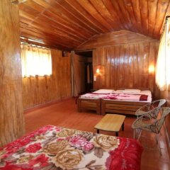 jungle mount adventure camp hostel