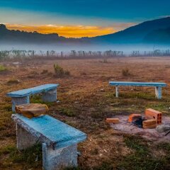 jungle mount adventure camp hostel