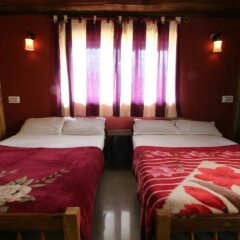 jungle mount adventure camp hostel