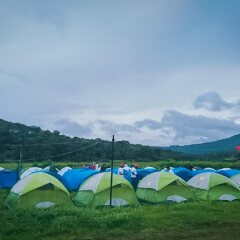 jungle mount adventure camp hostel