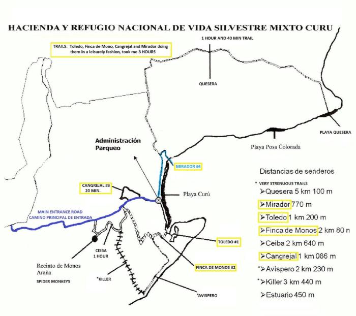 paquera
