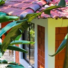 Spezia Natural Resort,Kerala>>Idukki,3 star