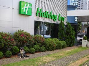 Holiday Inn Belo Horizonte Savassi By Ihg,Savassi>>Belo Horizonte,4 star