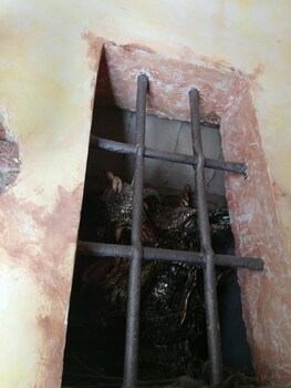 luxury corte di re artu