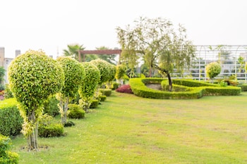 the radiant resort