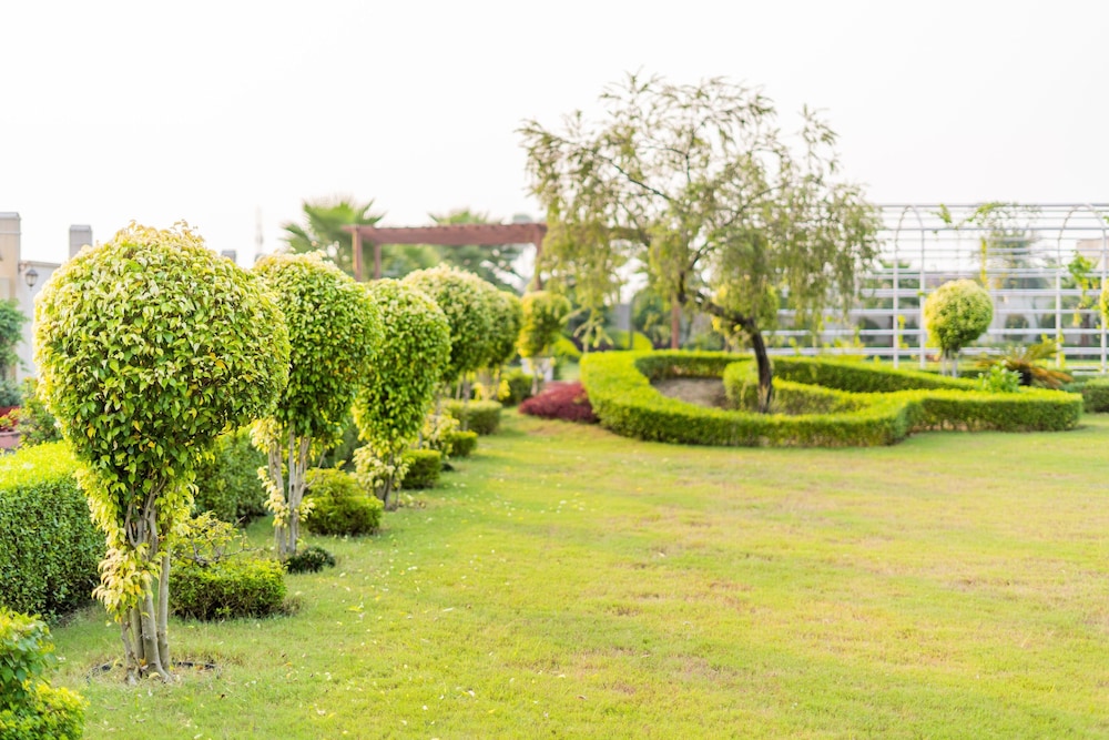 the radiant resort