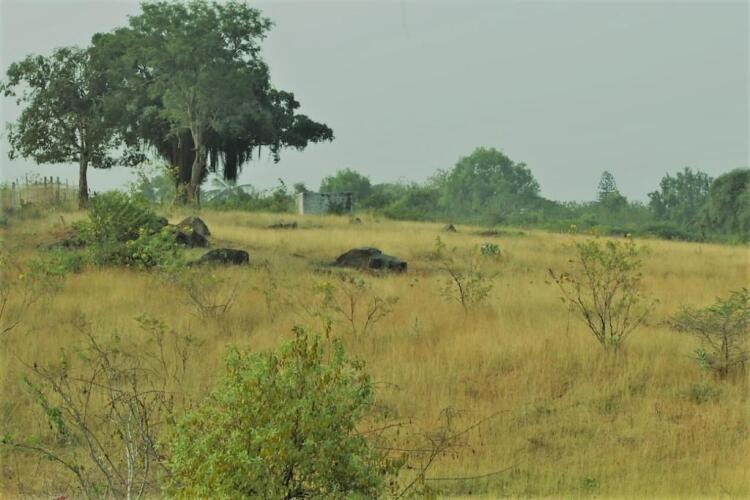 aarraams farms and resorts