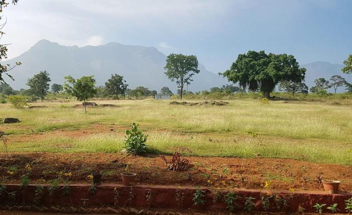 aarraams farms and resorts