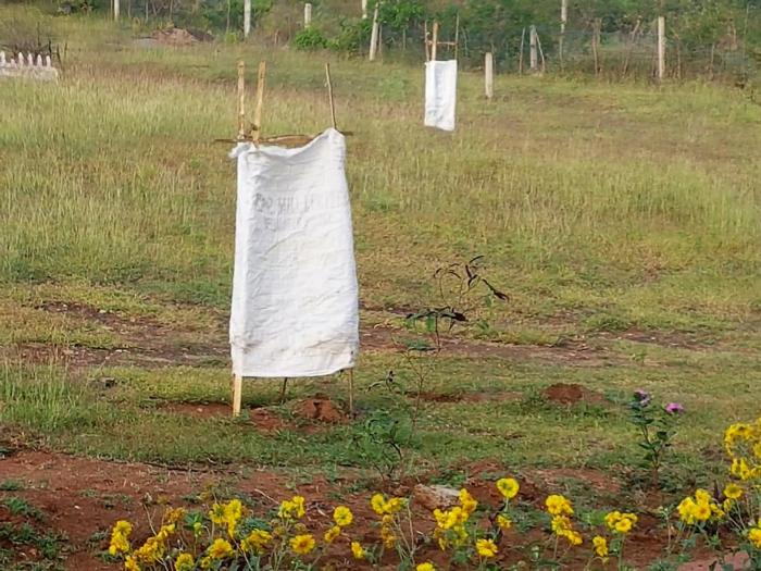 aarraams farms and resorts