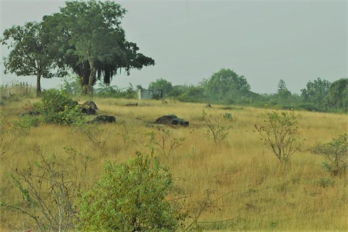 aarraams farms and resorts