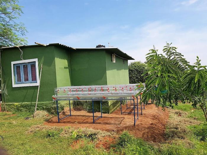 aarraams farms and resorts