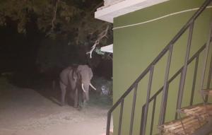 aarraams farms and resorts