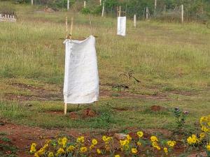 aarraams farms and resorts