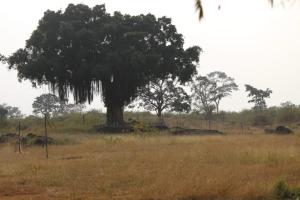 aarraams farms and resorts