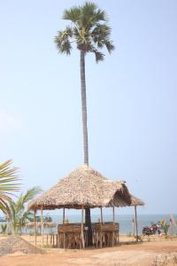 cabana coral reef