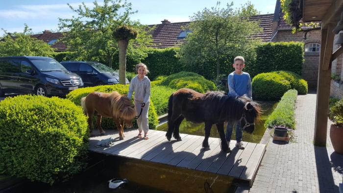 het zwaluwnest