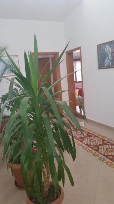 berat