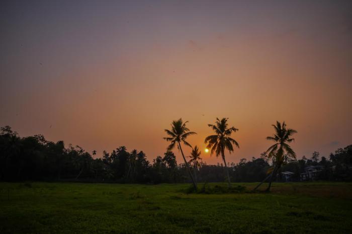 galle