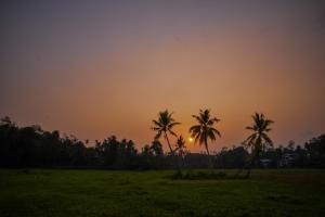 galle