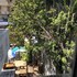 backpack hostel 44