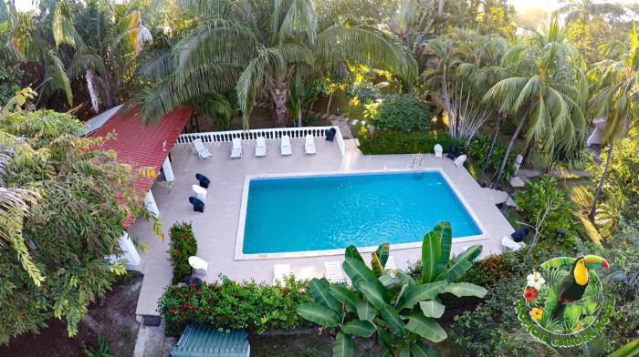 hotel tropical garden