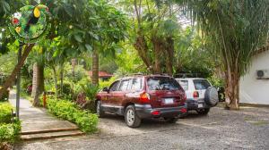 hotel tropical garden