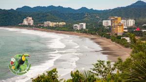 hotel tropical garden