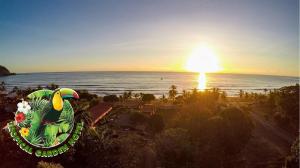 hotel tropical garden