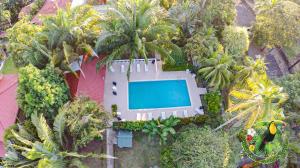 hotel tropical garden