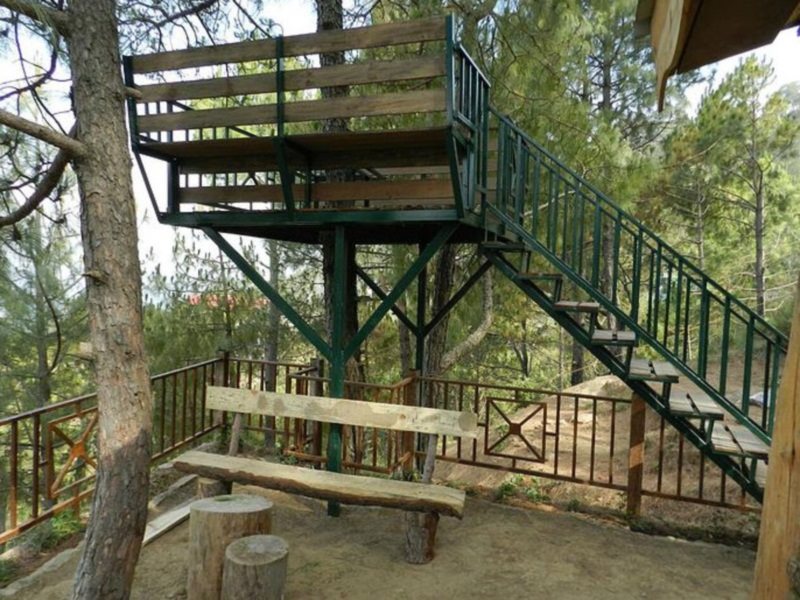 kasauli