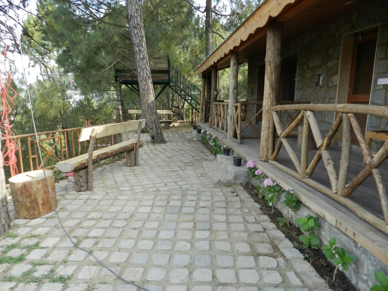 kasauli