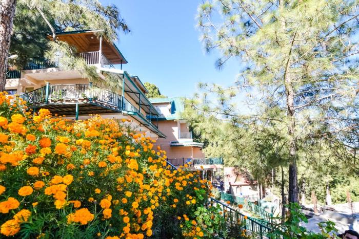 kasauli