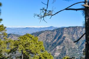 kasauli