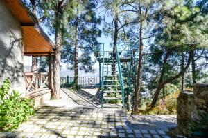 kasauli