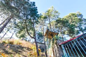kasauli