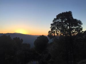 kasauli
