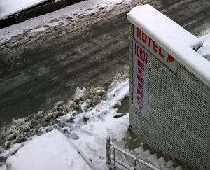 shimla
