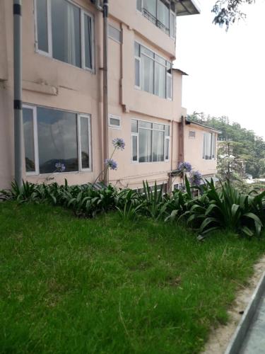 shimla