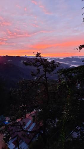 shimla