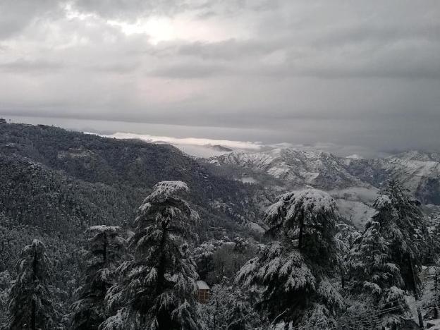 shimla