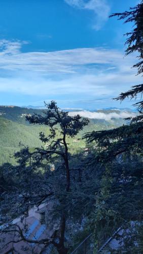 shimla