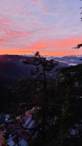 shimla