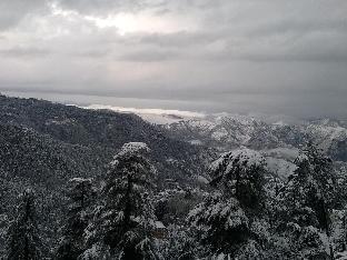 shimla
