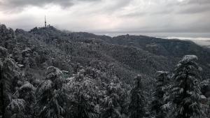 shimla