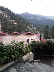 shimla