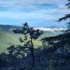 shimla