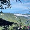 shimla