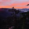 shimla