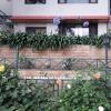 shimla